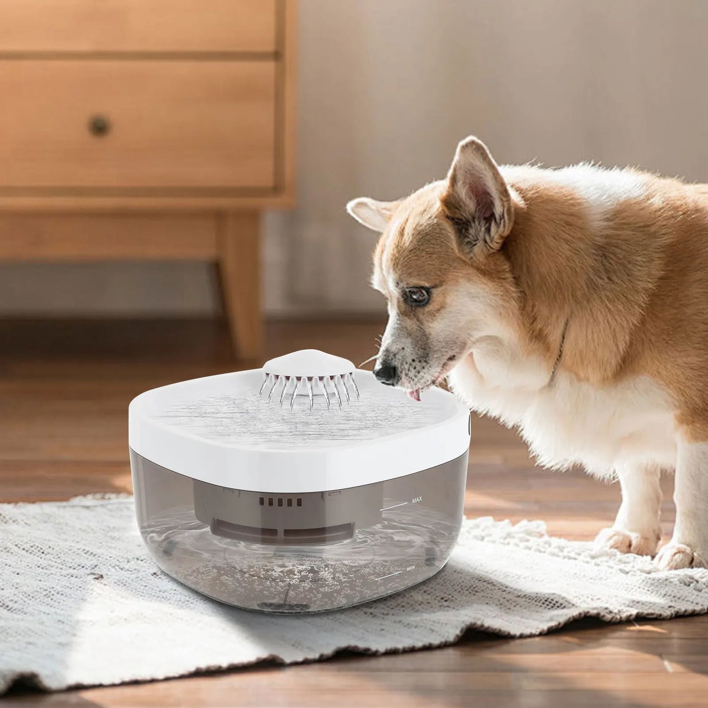 Pet Water Dispenser, Automatic Fresh Water Supply, Smart Design for Cats and Dogs, Hygienic & Convenient