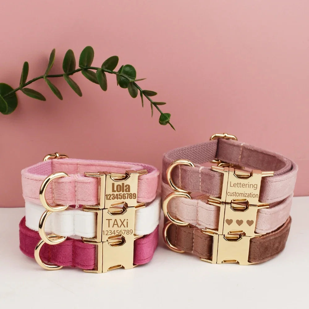 Velvet Engraved Dog Collar Leash Personalized Padded Quick Release