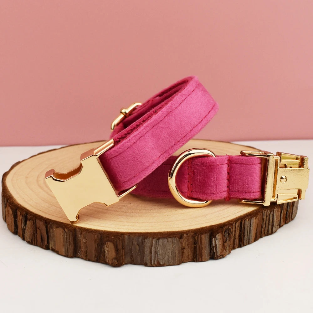 Velvet Engraved Dog Collar Leash Personalized Padded Quick Release