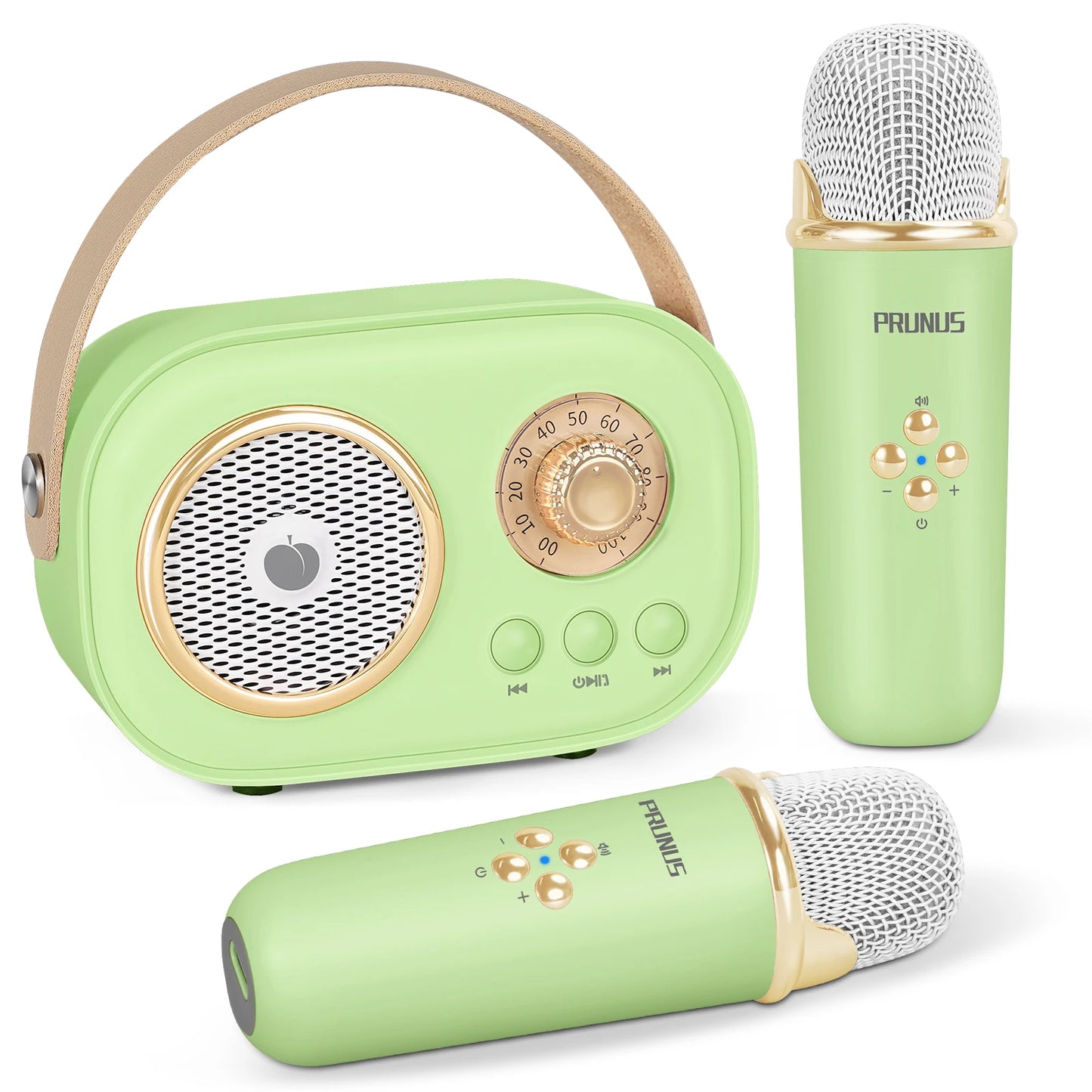 Mini Karaoke Machine for Kids&Adults,Portable Bluetooth Speaker with 2 Wireless Microphones and Stereo Sound Enhanced Bass,Gifts